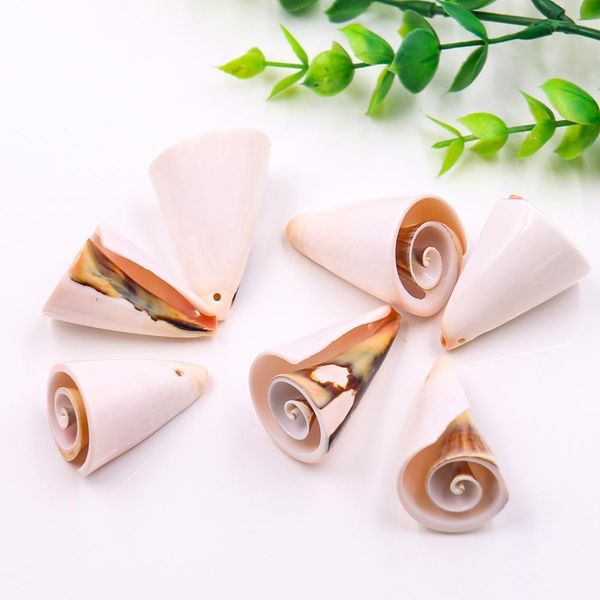 5pcs mediterranean nautical decor color trumpet conch seashells beach wedding decorations jewelry diy shell beach home decor h bbytli
5pcs mediterranean nautical decor color trumpet conch seashells beach wedding decorations jewelry diy shell beach home decor h bbytli