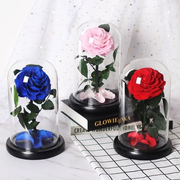 beast wedding glass rose the dome immortal fresh flower and decorations gifts in preserved valentiness beauty day forever wmtcma xhhair
beast wedding glass rose the dome immortal fresh flower and decorations gifts in preserved valentiness beauty day forever wmtcma xhhair