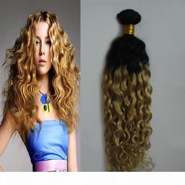 ombre weave hair blonde t1b 613 human hair bundles 100g kinky virgin hair 1 pcs, Black
ombre weave hair blonde t1b 613 human hair bundles 100g kinky virgin hair 1 pcs, Black