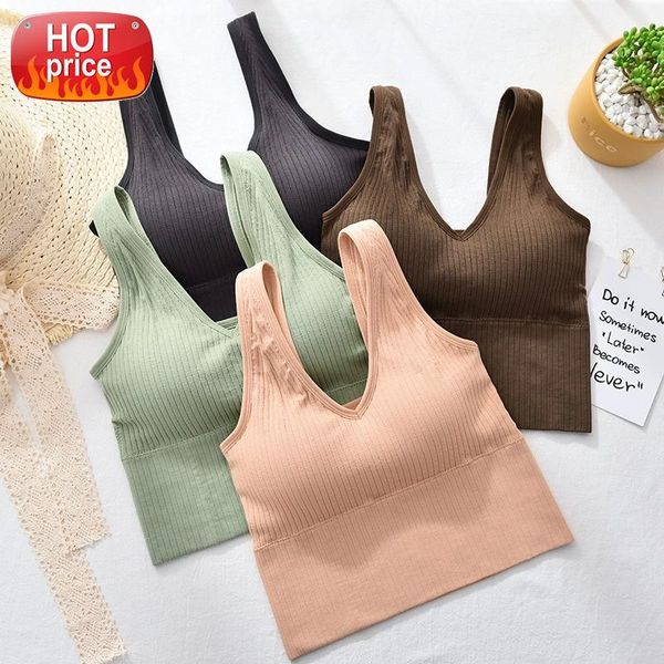 gym bra for women solid underwear fitness yoga running wear workout sportswear sports vest breathable quick dry size #6a9g, White
gym bra for women solid underwear fitness yoga running wear workout sportswear sports vest breathable quick dry size #6a9g, White