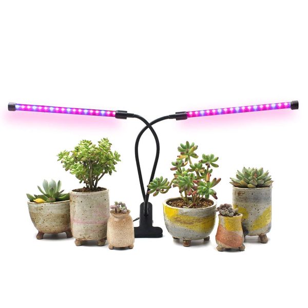 zx-mini-30w grow light for indoor plants 2 head divided adjustable goose neck clip-on desk 40led black
zx-mini-30w grow light for indoor plants 2 head divided adjustable goose neck clip-on desk 40led black