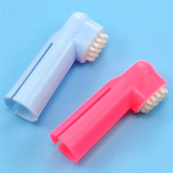 double head pet finger toothbrush cute dog brush breath teeth care cat cleaning accessories pet supplies random color h bbyuen
double head pet finger toothbrush cute dog brush breath teeth care cat cleaning accessories pet supplies random color h bbyuen