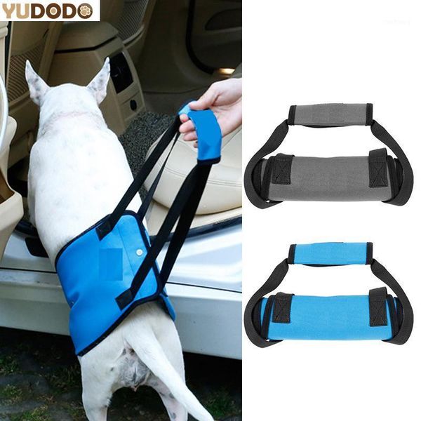 dog assists harness with handle for old injuried arthritis weak hind legs dogs pet chest strap lift support harnesses s/m/l/xl1
dog assists harness with handle for old injuried arthritis weak hind legs dogs pet chest strap lift support harnesses s/m/l/xl1