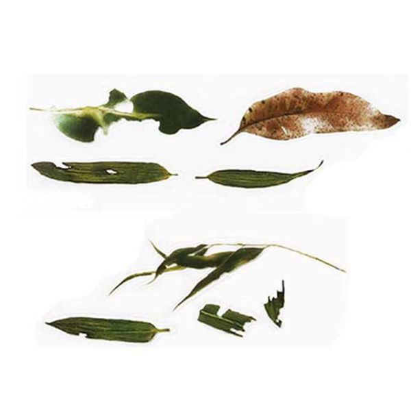 5pcs 3dsimulation fish lotus uv resin decorative sticker fit molds diy micro landscape phone case scrapbooking sticker wmtlig bdesybag, Black
5pcs 3dsimulation fish lotus uv resin decorative sticker fit molds diy micro landscape phone case scrapbooking sticker wmtlig bdesybag, Black
