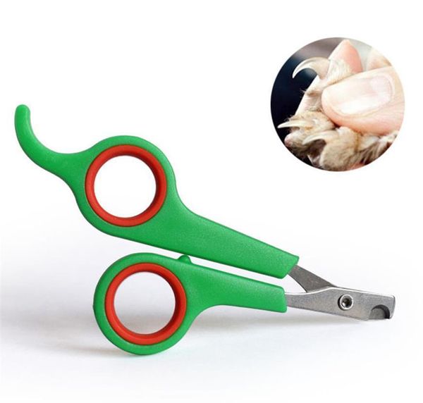stainless steel pet dog cat nail clipper trimmer claws scissor cut product pet nail safety cutter t jllpzh mx_home
stainless steel pet dog cat nail clipper trimmer claws scissor cut product pet nail safety cutter t jllpzh mx_home