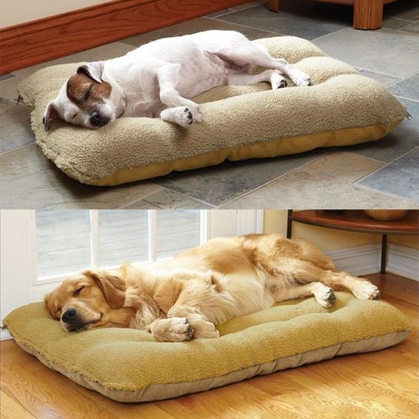 kennels & pens winter dog bed mat for small large dogs cats pad warm puppy cat fleece beds thicken pet cushion blanket
kennels & pens winter dog bed mat for small large dogs cats pad warm puppy cat fleece beds thicken pet cushion blanket