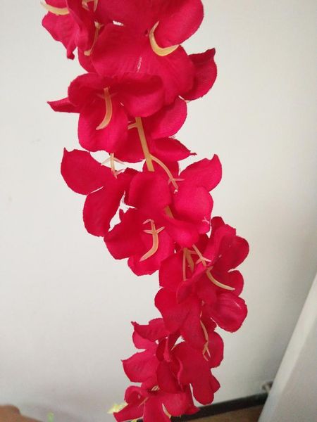 ubv5nu factory price silk new arrival flower elegant artificial hydangea vine home wall hanging wisteria garland 14 colors avai 3 n
ubv5nu factory price silk new arrival flower elegant artificial hydangea vine home wall hanging wisteria garland 14 colors avai 3 n