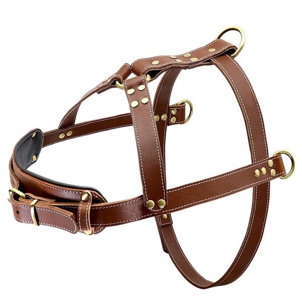 pet large dog harness leather k9 pitbull big dog harness vest adjustable for medium large dogs bulldog rottweiler labr sqcaaa
pet large dog harness leather k9 pitbull big dog harness vest adjustable for medium large dogs bulldog rottweiler labr sqcaaa