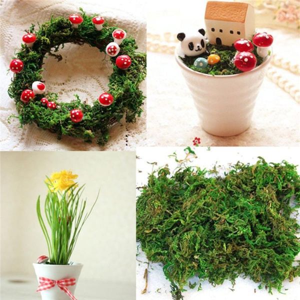 decorative flowers & wreaths 50g real natural dry green moss home micro landscape plants turf flowerpot dried garden decor accessories1
decorative flowers & wreaths 50g real natural dry green moss home micro landscape plants turf flowerpot dried garden decor accessories1