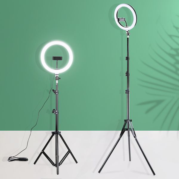 26cm led selfie ring with tripod phone holder clip pgraphy light p studio lamp for youtoube tiktok video ringlight
26cm led selfie ring with tripod phone holder clip pgraphy light p studio lamp for youtoube tiktok video ringlight