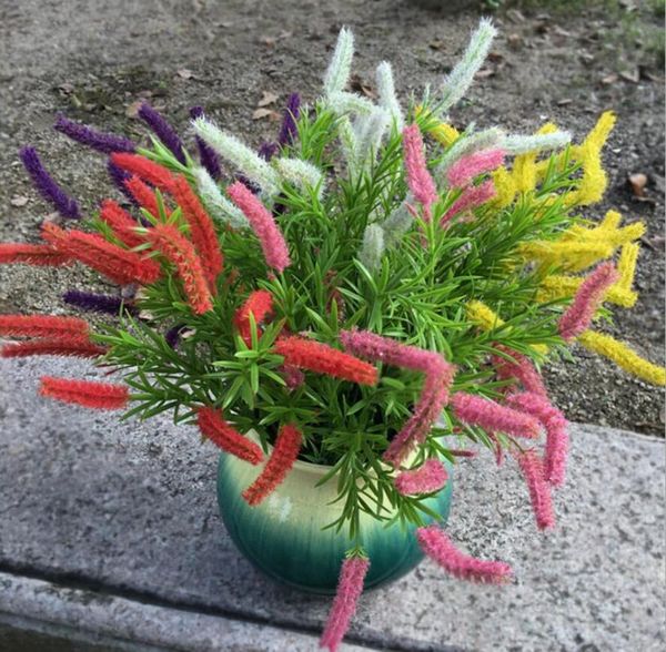 decorative flowers & wreaths 10pcs artificial aquatic plants green bristlegrass for plant wall background wedding party home office bar
decorative flowers & wreaths 10pcs artificial aquatic plants green bristlegrass for plant wall background wedding party home office bar