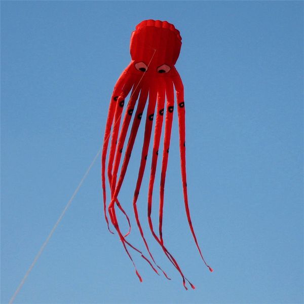 large ocs kite with handle line children eagle kite surfing cute animal vlieger ocs kite adults fun flying kites 1018
large ocs kite with handle line children eagle kite surfing cute animal vlieger ocs kite adults fun flying kites 1018