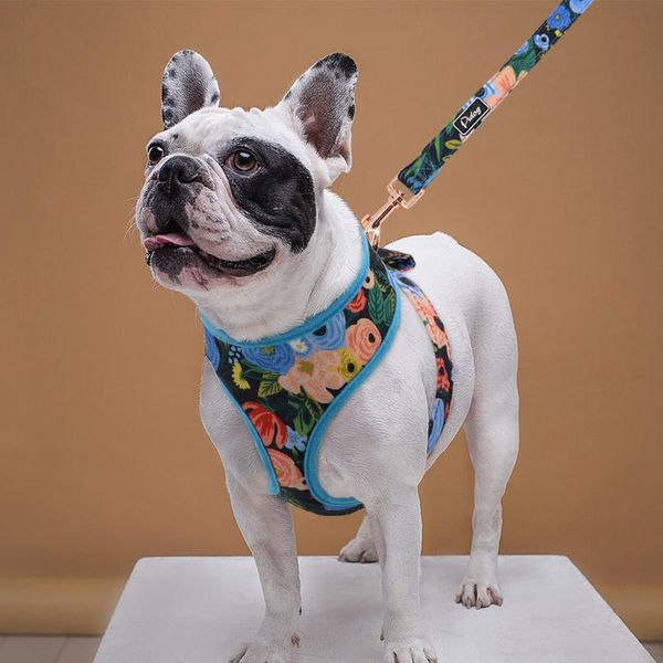 nylon dog harness and leash set fashion printed no pull pet dog harness vest lead leashes for small medium la sqcihk
nylon dog harness and leash set fashion printed no pull pet dog harness vest lead leashes for small medium la sqcihk
