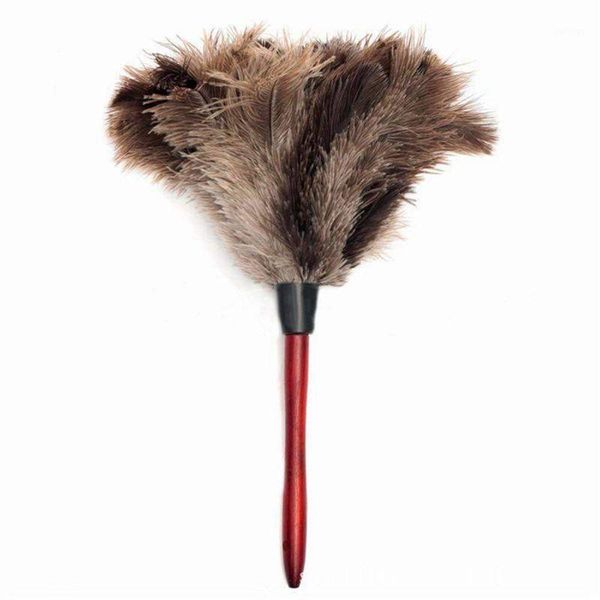 ostrich cleaning feather duster ostrich duster feather soft feathers from furniture to fan blades of vario1
ostrich cleaning feather duster ostrich duster feather soft feathers from furniture to fan blades of vario1