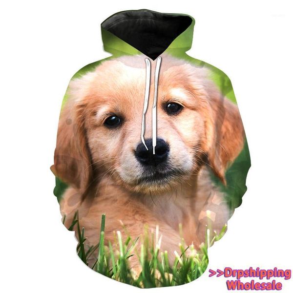 customized golden retriever jumper pullover casual women hoodie cute dog long sleeve shirt hoodie dropshipping 2019 new, Black
customized golden retriever jumper pullover casual women hoodie cute dog long sleeve shirt hoodie dropshipping 2019 new, Black