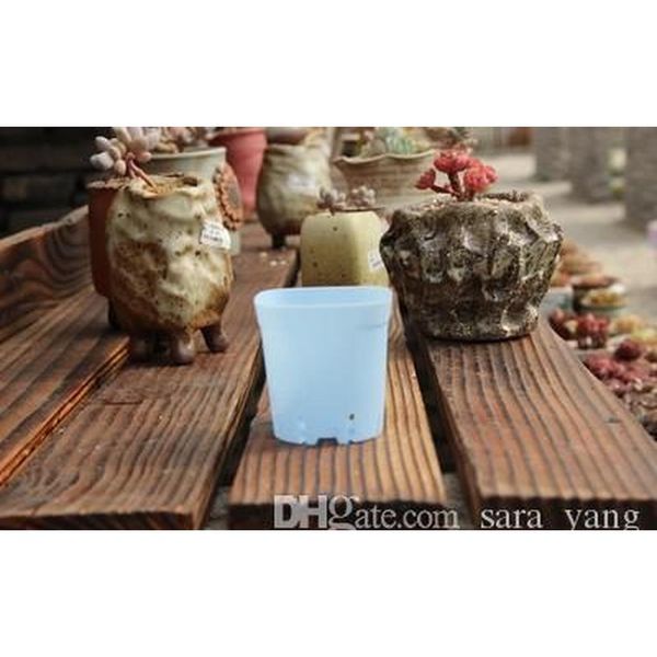 plastic flowerpot mini multicolour square succulents breed base special purpose basin the bottom is more breathab wmtdjp homes2011
plastic flowerpot mini multicolour square succulents breed base special purpose basin the bottom is more breathab wmtdjp homes2011