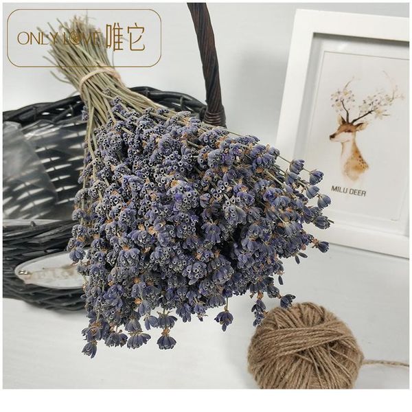 80pcs lavender natural dried flower bouquet for wedding party decoration diy craft home decor scrapbook lavender bran bbyspl
80pcs lavender natural dried flower bouquet for wedding party decoration diy craft home decor scrapbook lavender bran bbyspl