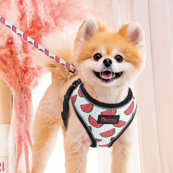 cute adjustable dog harness leash set reflective mesh puppy vest nylon pet walking leash lead for small medium dogs c sqcyfw
cute adjustable dog harness leash set reflective mesh puppy vest nylon pet walking leash lead for small medium dogs c sqcyfw