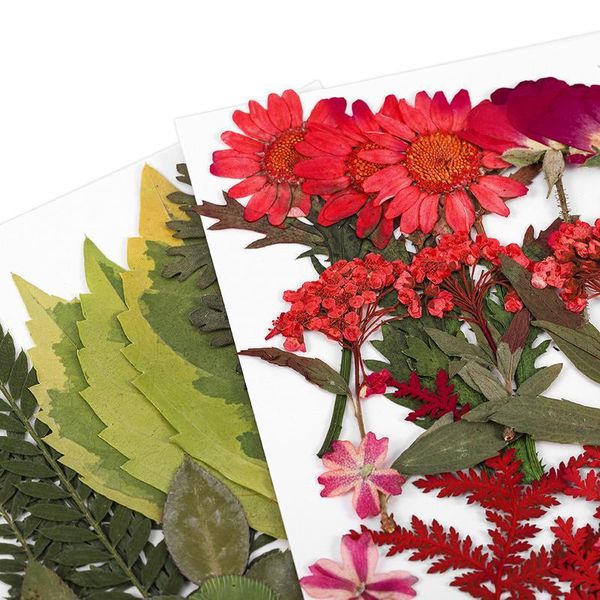1bag diy dried flowers resin mold fillings real dried flower dry plants scented candle jewelry making craft diy acc qylmxo
1bag diy dried flowers resin mold fillings real dried flower dry plants scented candle jewelry making craft diy acc qylmxo