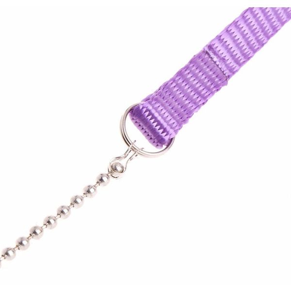 let's pet colorful parrot bird leash outdoor adjustable harness training ro qyltyg packing2010
let's pet colorful parrot bird leash outdoor adjustable harness training ro qyltyg packing2010