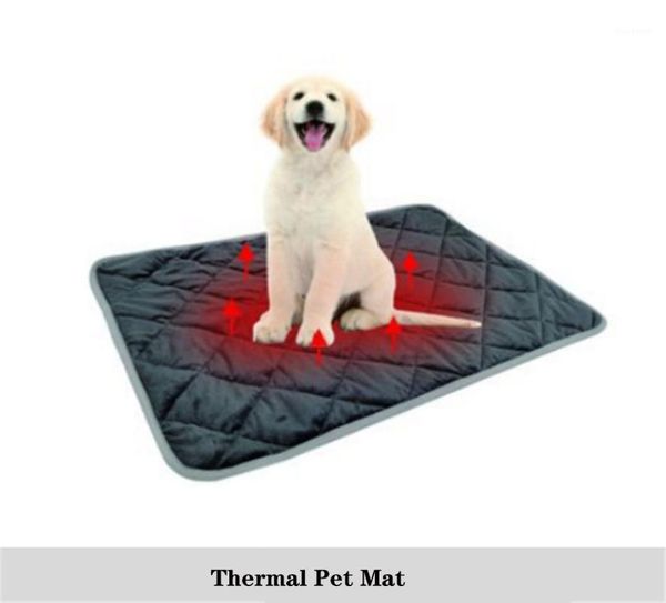 kennels & pens warm dog mat for cat thermal pet soft sleep keep in winter blankets pad self heating rug washable bed1
kennels & pens warm dog mat for cat thermal pet soft sleep keep in winter blankets pad self heating rug washable bed1
