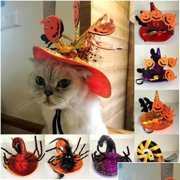 halloween party pet cat hat pet caps pumpkin spider witch hat for animal pet costume halloween decoration cat cap sno4c 
halloween party pet cat hat pet caps pumpkin spider witch hat for animal pet costume halloween decoration cat cap sno4c