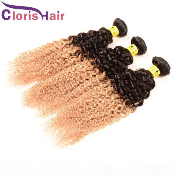 two tone t1b 27 curly peruvian virgin hair weave 3 bundles ombre blonde kinky curly human hair extensions colored peruvian hair weft deals, Black
two tone t1b 27 curly peruvian virgin hair weave 3 bundles ombre blonde kinky curly human hair extensions colored peruvian hair weft deals, Black