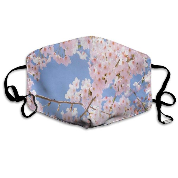 dustproof washable reusable cat's eye nebula mouth cover mask protective warm windproof mask
dustproof washable reusable cat's eye nebula mouth cover mask protective warm windproof mask