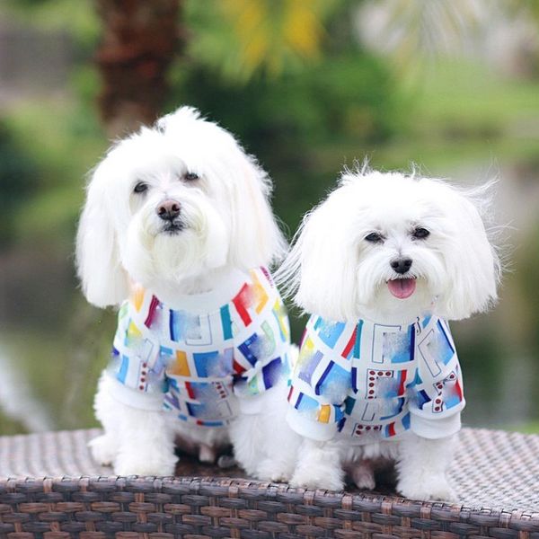 color letters decorate dog apparel black and white teddy small medium-sized pet shirt high-end luxury
color letters decorate dog apparel black and white teddy small medium-sized pet shirt high-end luxury