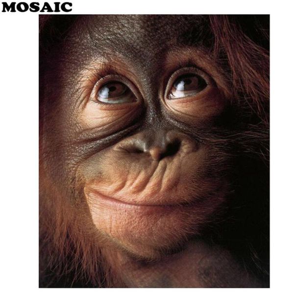 5d diy круглый / квадратный продажа алмазные вышивки «ape apes орангутанг смешные обезьяны» алмазная живопись искусство вышивка крестом живо
5d diy круглый / квадратный продажа алмазные вышивки «ape apes орангутанг смешные обезьяны» алмазная живопись искусство вышивка крестом живо