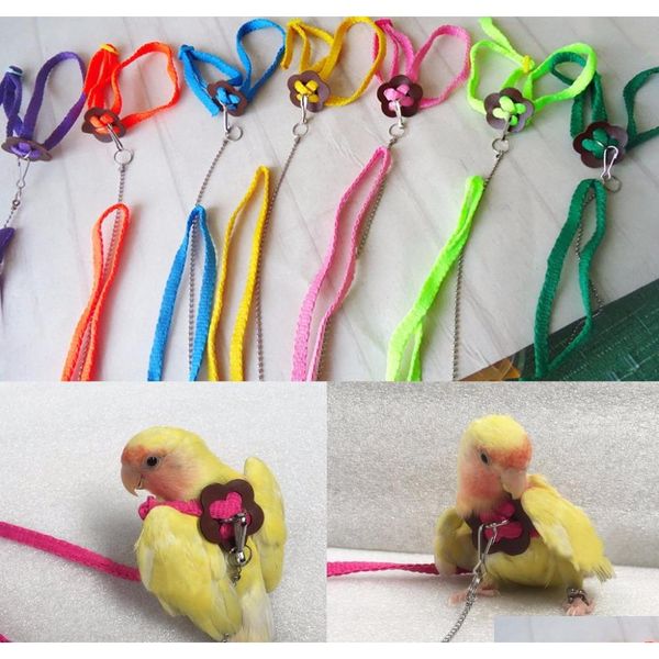 let's pet colorful parrot bird leash outdoor adjustable harness training rope flying cross band bepxr
let's pet colorful parrot bird leash outdoor adjustable harness training rope flying cross band bepxr