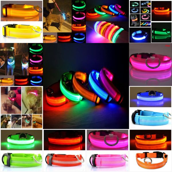 night collar nylon safety led flashing glow in the dark dog leash dogs luminous fluorescent collars pet supplies 4 nfw0y
night collar nylon safety led flashing glow in the dark dog leash dogs luminous fluorescent collars pet supplies 4 nfw0y