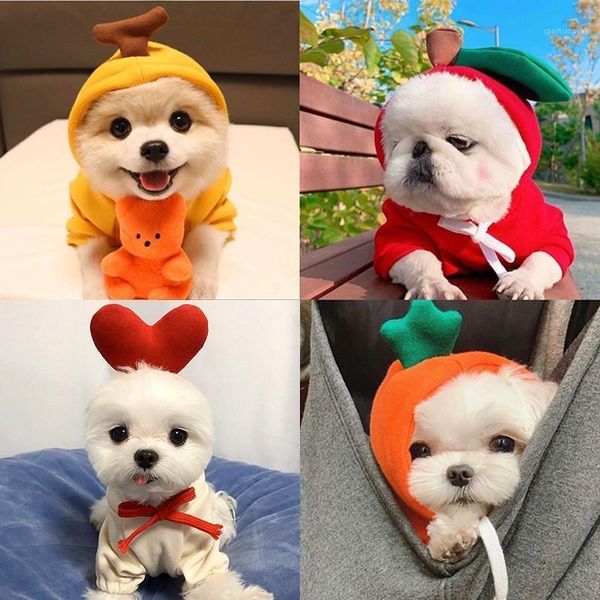 dog apparel warm hoodies cute cat coat fleece dogs jacket sweatshirt christmas costume outdoor chihuahua pug winter ropa para perro1
dog apparel warm hoodies cute cat coat fleece dogs jacket sweatshirt christmas costume outdoor chihuahua pug winter ropa para perro1