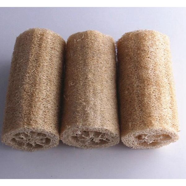 natural loofah luffa sponge with loofah for body remove the dead skin and k sqcpzu sports2010
natural loofah luffa sponge with loofah for body remove the dead skin and k sqcpzu sports2010