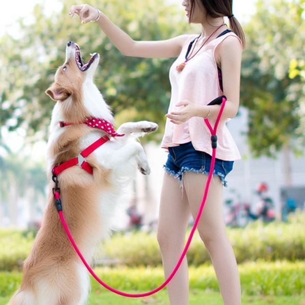 dog collars & leashes adjustable flannel padded small large harness vest no-pull leash nylon pet for cat1
dog collars & leashes adjustable flannel padded small large harness vest no-pull leash nylon pet for cat1