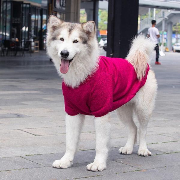 dog apparel clothes pet casual hooded coat autumn large dogs jacket for labrador husky clothing solid color size dog1
dog apparel clothes pet casual hooded coat autumn large dogs jacket for labrador husky clothing solid color size dog1