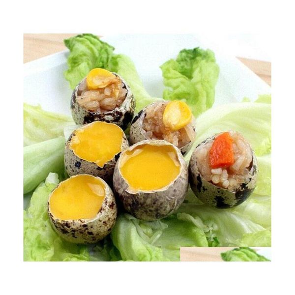 stainless steel pigeon quail egg shells scissors bird cutter opener egg slicers cigar cutter ki jllmzj dayupshop
stainless steel pigeon quail egg shells scissors bird cutter opener egg slicers cigar cutter ki jllmzj dayupshop