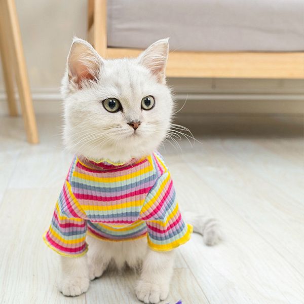2020 одежда зимней pet puppy котика куртки пальто для маленьких собак cat чихуахуа йоркширских животные одежды костюма
2020 одежда зимней pet puppy котика куртки пальто для маленьких собак cat чихуахуа йоркширских животные одежды костюма