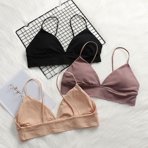 seamless wire bra for women comfort deep v bra push up wireless female underwear plus size triangle cup1, Red;black
seamless wire bra for women comfort deep v bra push up wireless female underwear plus size triangle cup1, Red;black