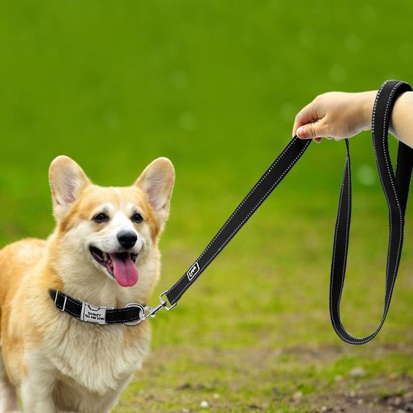 120cm nylon dog leash reflective dog lead leash for small medium dogs walking training running durable sqcfkh
120cm nylon dog leash reflective dog lead leash for small medium dogs walking training running durable sqcfkh