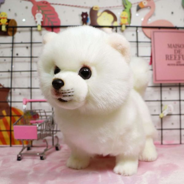 plush cute bomei imitation toy dog white doll pillow children's gift girl gfkj
plush cute bomei imitation toy dog white doll pillow children's gift girl gfkj
