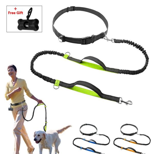 retractable hands dog leash for running dual handle bungee leash reflective for up to 150 lbs large dogs bag d bbyfva
retractable hands dog leash for running dual handle bungee leash reflective for up to 150 lbs large dogs bag d bbyfva