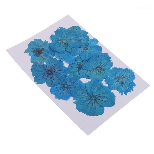 decorative flowers & wreaths 12 pieces real pressed flower dried cherry blossom dyed blue for floral crafts card making1
decorative flowers & wreaths 12 pieces real pressed flower dried cherry blossom dyed blue for floral crafts card making1