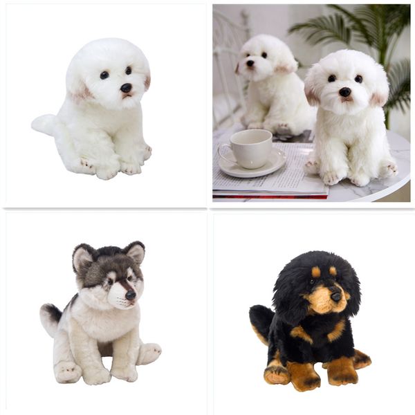 simulation european maltese dog wolf tibetan mastiff dog plush toy animal stuffed toys children toys gifts home dec
simulation european maltese dog wolf tibetan mastiff dog plush toy animal stuffed toys children toys gifts home dec