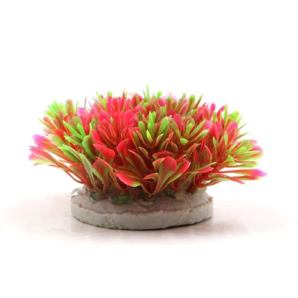 4.5cm 1 piece artificial water grass home decoration accessories fish tank aquatic plants diy aquarium viewing houseplant crafts
4.5cm 1 piece artificial water grass home decoration accessories fish tank aquatic plants diy aquarium viewing houseplant crafts