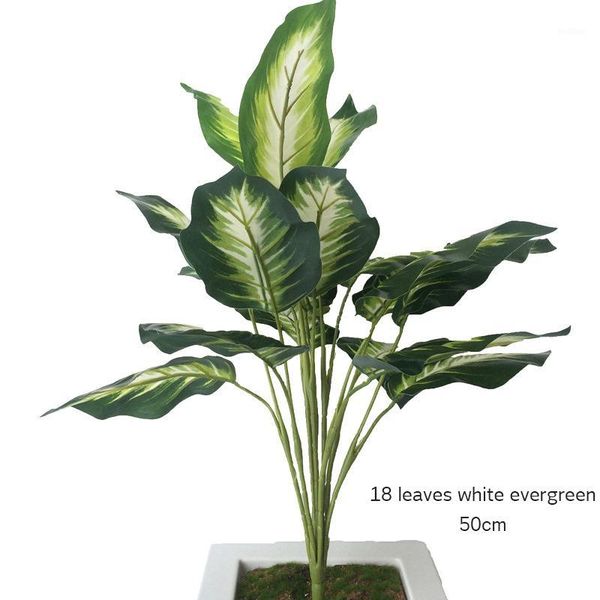 exotic outdoor evergreen bonsai potted tropical ornamental tree plant for home office garden wall deco artificial plant plastic1
exotic outdoor evergreen bonsai potted tropical ornamental tree plant for home office garden wall deco artificial plant plastic1