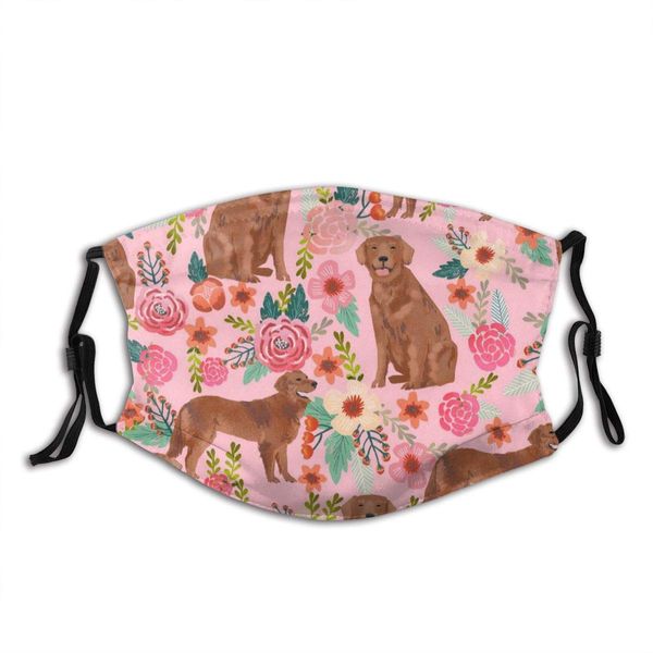 golden retriever dog face mask with pocket washable face bandanas balaclava reusable fabric mask with 2 pcs filter
golden retriever dog face mask with pocket washable face bandanas balaclava reusable fabric mask with 2 pcs filter