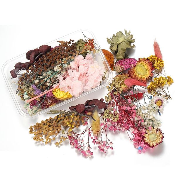 1box random mix style dried flowers decoration natural floral sticker beauty nail art decals epoxy mold diy filling jewelry h bbyudc
1box random mix style dried flowers decoration natural floral sticker beauty nail art decals epoxy mold diy filling jewelry h bbyudc