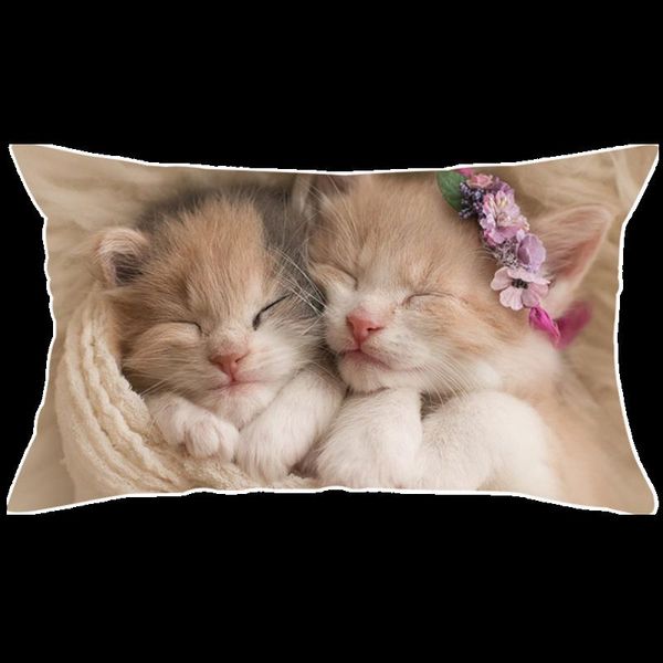 fuwatacchi diy design picture печать семья pet личной жизнь фотография настройка подарки подушка обложка наволочка подушка обложка 30x50cm к
fuwatacchi diy design picture печать семья pet личной жизнь фотография настройка подарки подушка обложка наволочка подушка обложка 30x50cm к