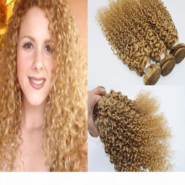 human hair bundles kinky curly virgin hair color #27 100g bundles 10"-30"100% brazilian human weaves in hair extensions, Black
human hair bundles kinky curly virgin hair color #27 100g bundles 10"-30"100% brazilian human weaves in hair extensions, Black